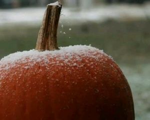 Meet your Posher, Leslie